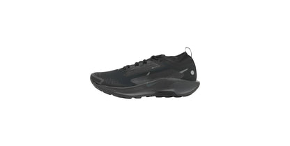 Nike Running Pegasus Trail 5 GORE-TEX