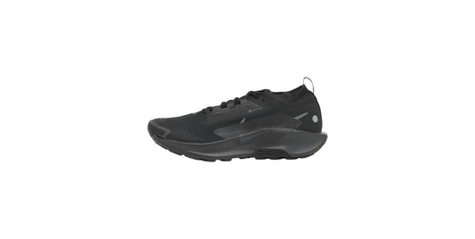 Nike Running Pegasus Trail 5 GORE-TEX