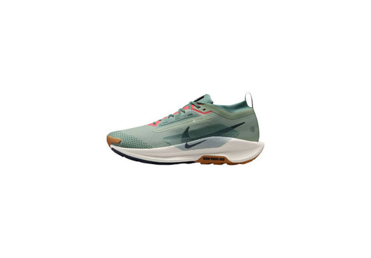 Nike Pegasus Trail 5 GORE-TEX